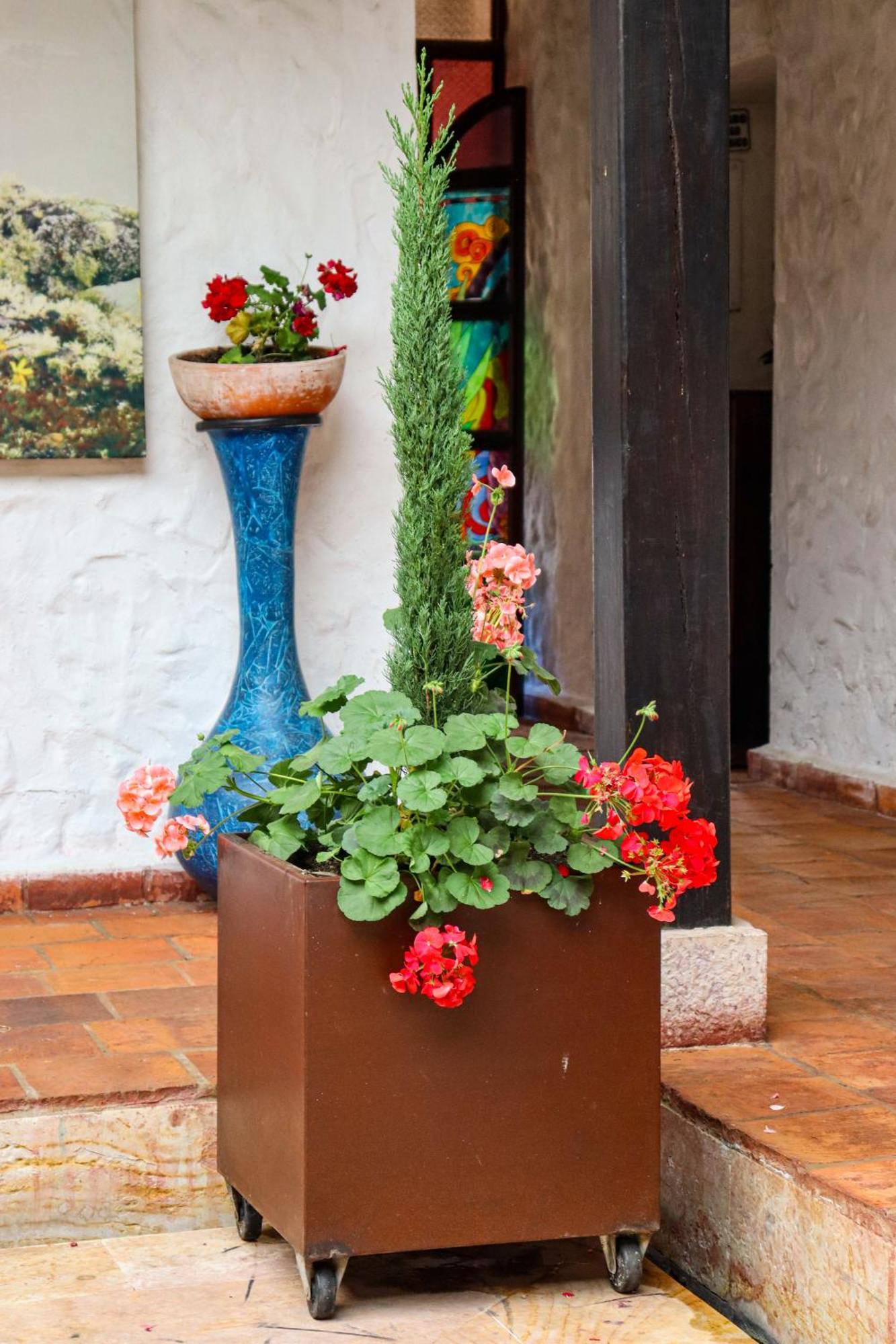 ホテル Casona Quesada スエスカ エクステリア 写真